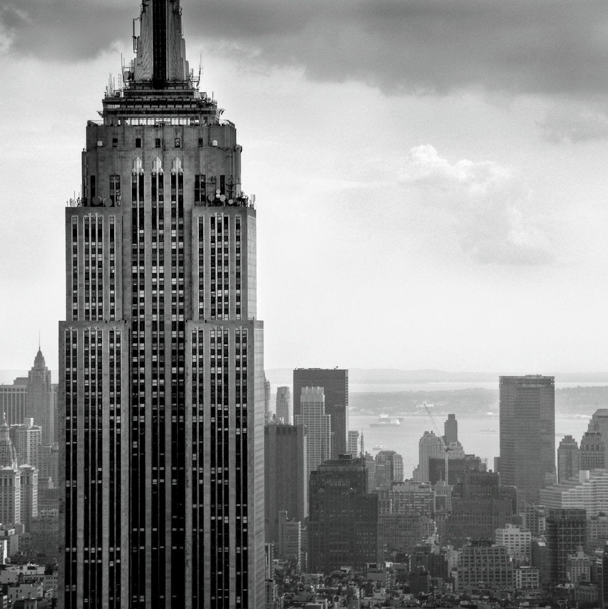 Rare, Priceless Discoveries!